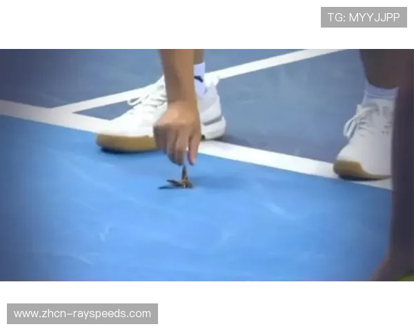 全运会赛场飞蛾事件后续:官方加强防虫预案与环境管理